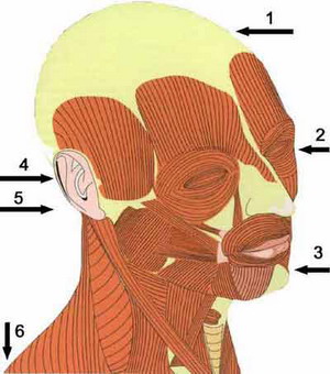 Zajednički poremećaj temporomandibularnog zgloba